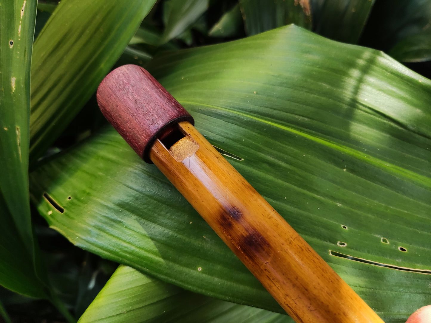 The Arabian Whistle! Handmade Whistle in A# with an Arabian scale.  Bamboo flute with an Intuitive Middle Eastern Scale for Sound Healing