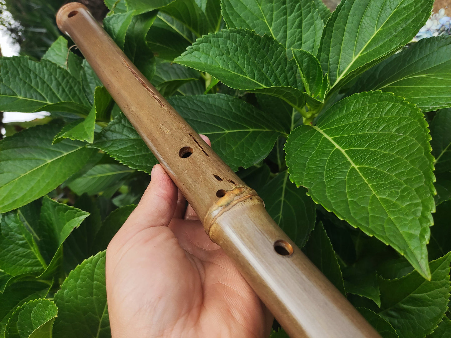 Low D Arabian style Bamboo Flute with a Rustic look and Eastern scale, Deep meditation with an  Ethnic middle eastern feel in Hijaz kar