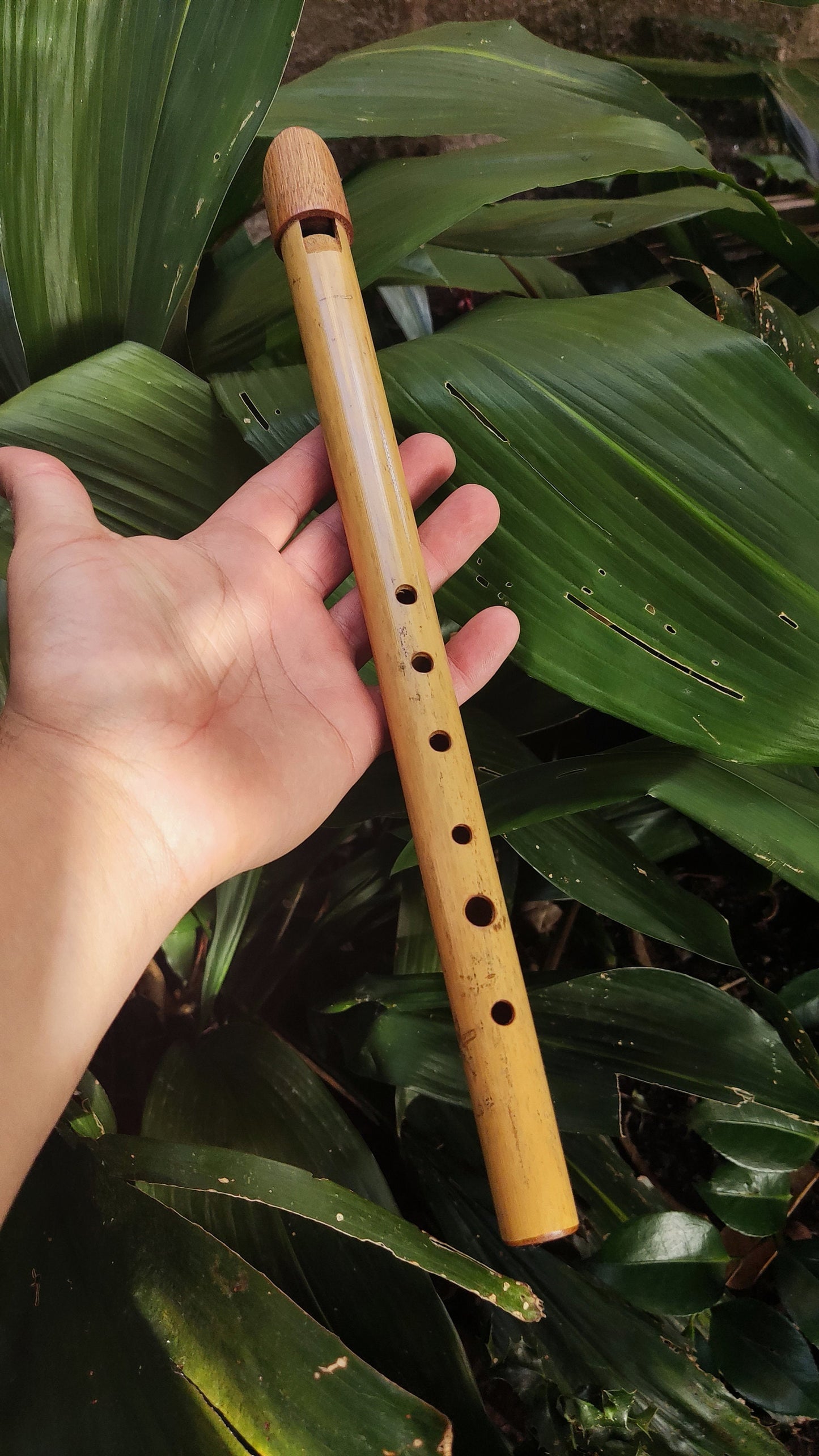 Tin Whistle in High C handmade out of Bamboo | Simple Wooden Recorder or Penny Whistle for World Music | Gift for musician | Rui Gomes