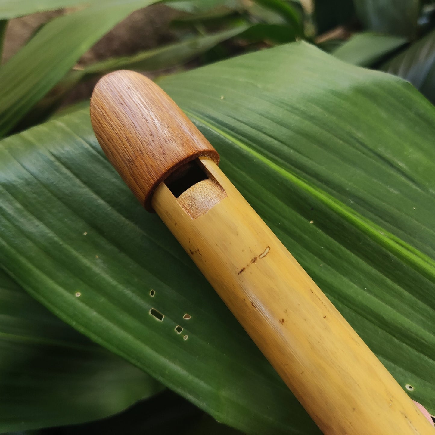 Tin Whistle in High C handmade out of Bamboo | Simple Wooden Recorder or Penny Whistle for World Music | Gift for musician | Rui Gomes