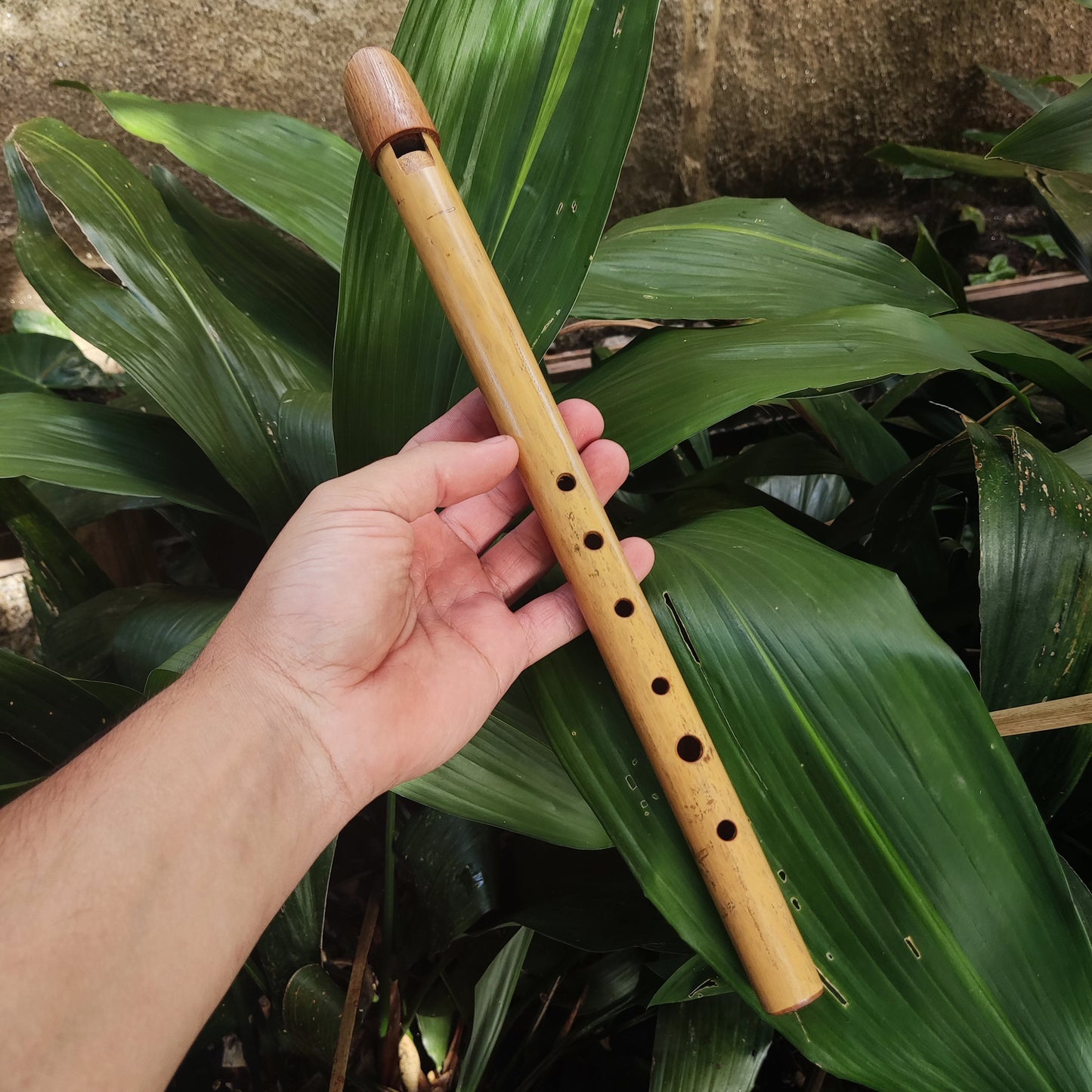 Tin Whistle in High C handmade out of Bamboo | Simple Wooden Recorder or Penny Whistle for World Music | Gift for musician | Rui Gomes