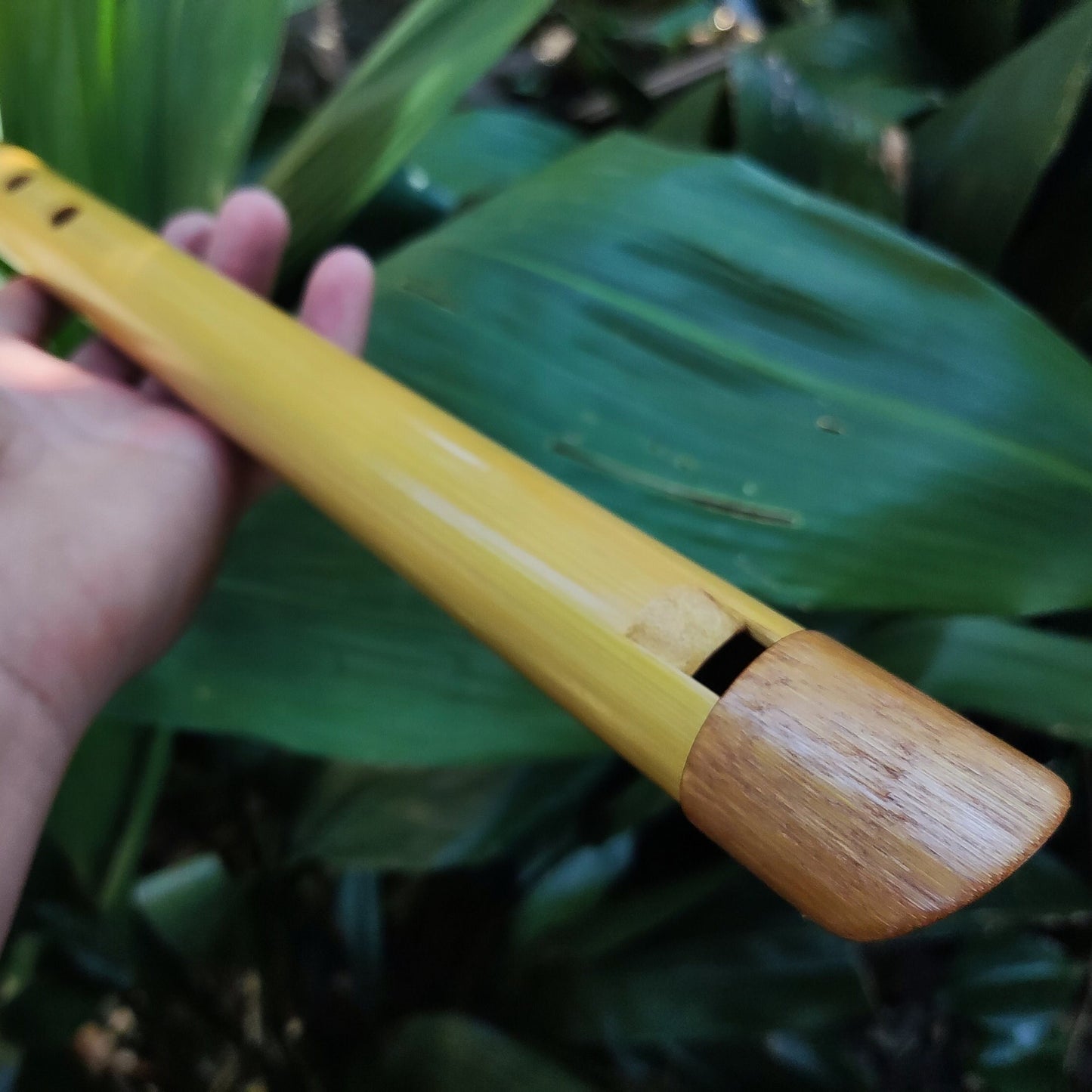 Low E Bamboo Whistle made in the Irish Style | Handmade Bamboo Flute for Folk and World Music | Celtic and Traditional Music | Rui Gomes