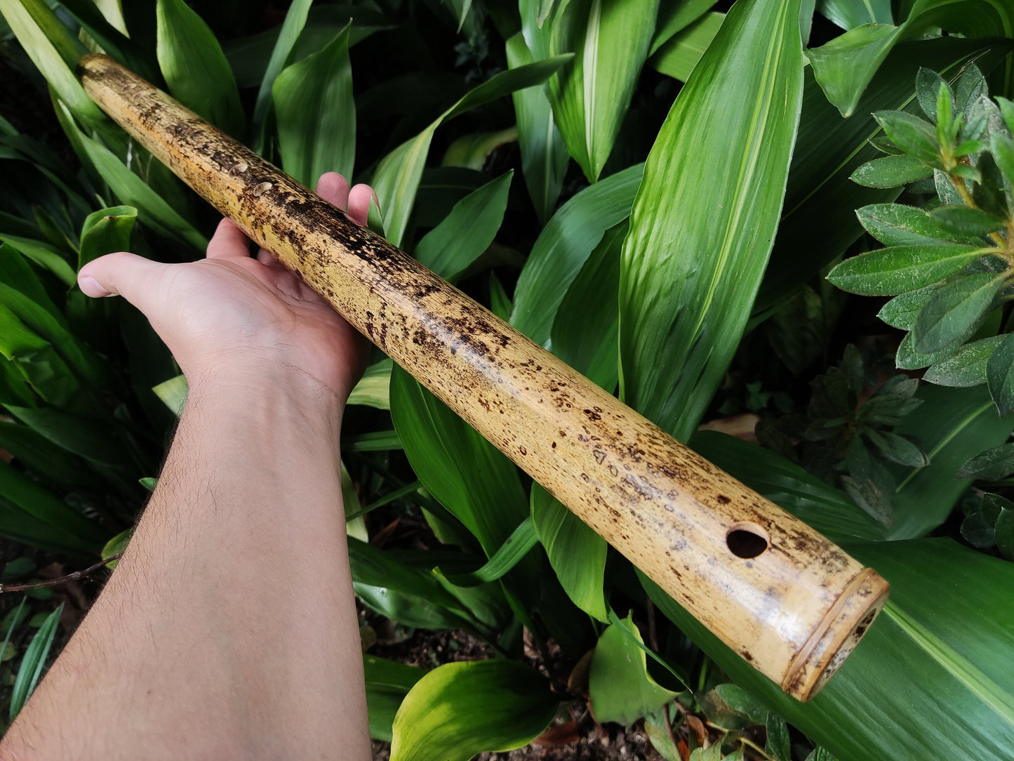 Iwato Japanese Scale in the key of Low A for Deep Meditation and Sound Healing | Oriental Bamboo Flute | Zen Buddhist inspired