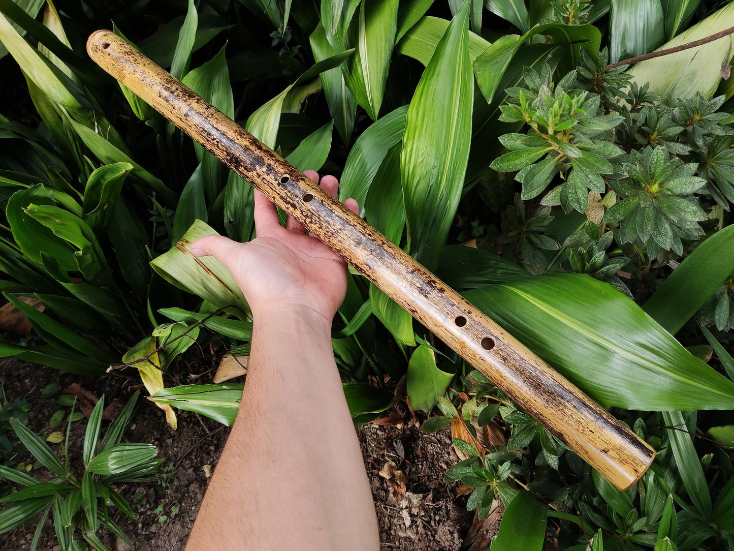 Iwato Japanese Scale in the key of Low A for Deep Meditation and Sound Healing | Oriental Bamboo Flute | Zen Buddhist inspired