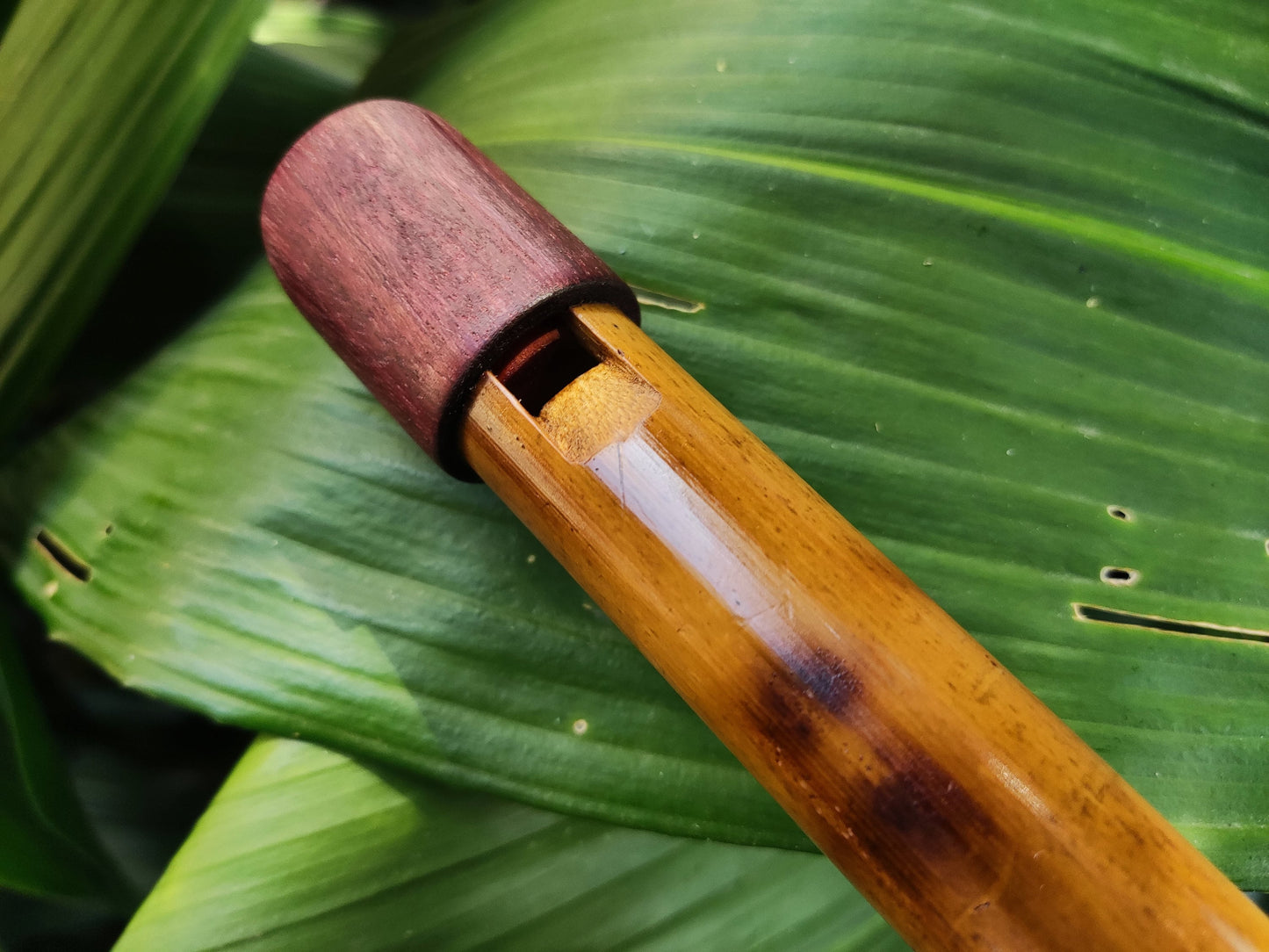 The Arabian Whistle! Handmade Whistle in A# with an Arabian scale.  Bamboo flute with an Intuitive Middle Eastern Scale for Sound Healing