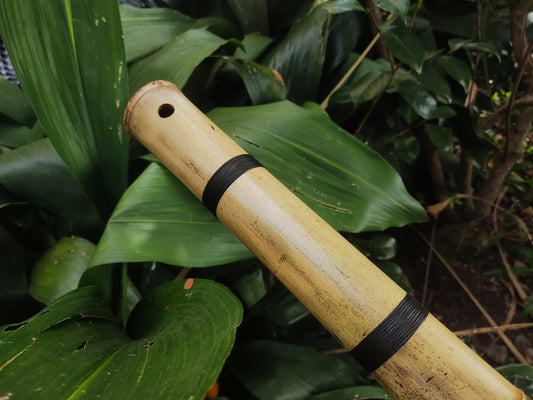 Kokin-Akebono Bamboo Flute in the key of low F#3 | Exotic looking and Meditative flute with Oriental design | For Deep meditation