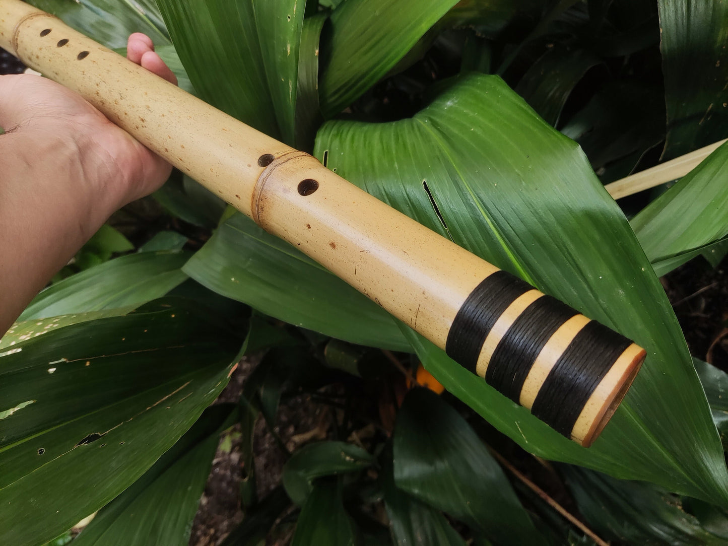 Exotic Meditative Bamboo Flute in the key of Low G#, for an Oriental transporting experience, Kokin Akebono hybrid & Transporting voice.