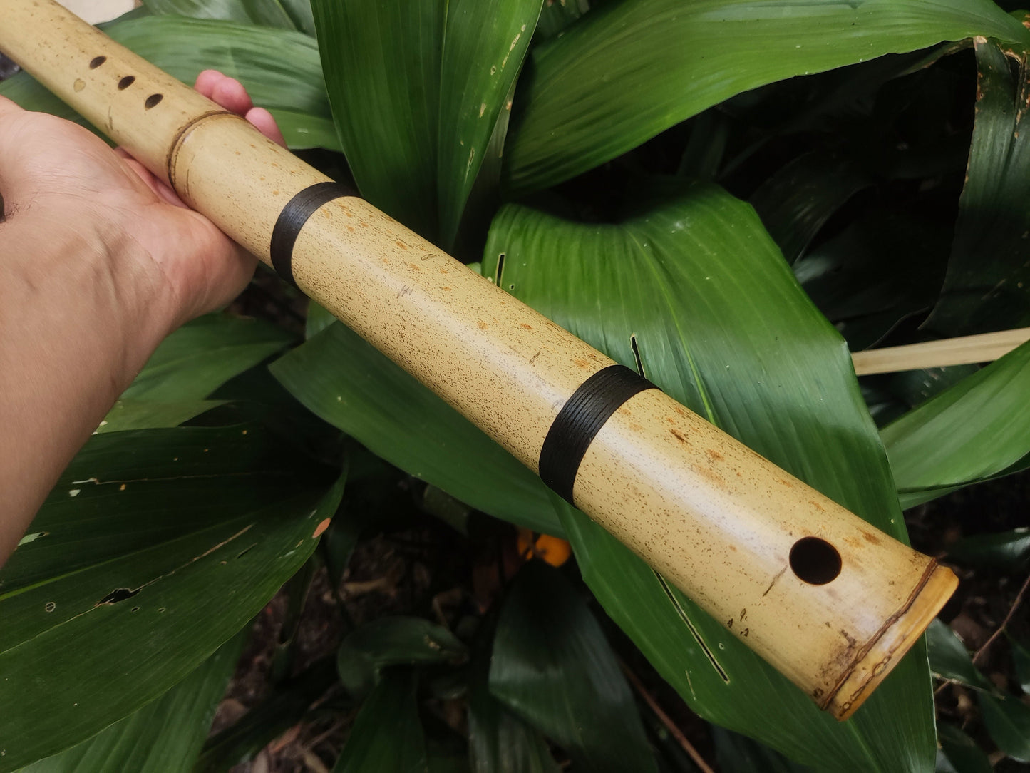 Exotic Meditative Bamboo Flute in the key of Low G#, for an Oriental transporting experience, Kokin Akebono hybrid & Transporting voice.