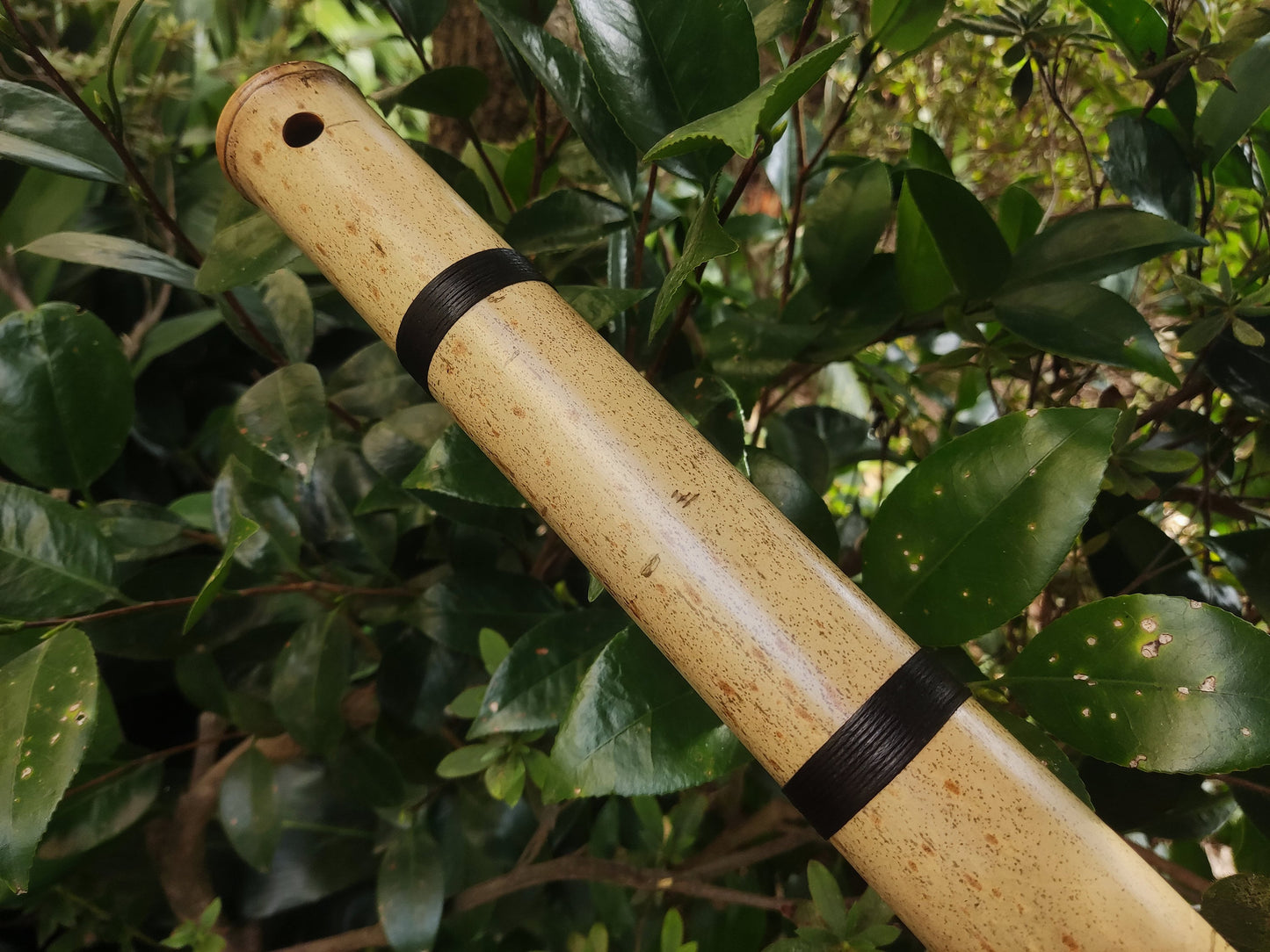 Exotic Meditative Bamboo Flute in the key of Low G#, for an Oriental transporting experience, Kokin Akebono hybrid & Transporting voice.
