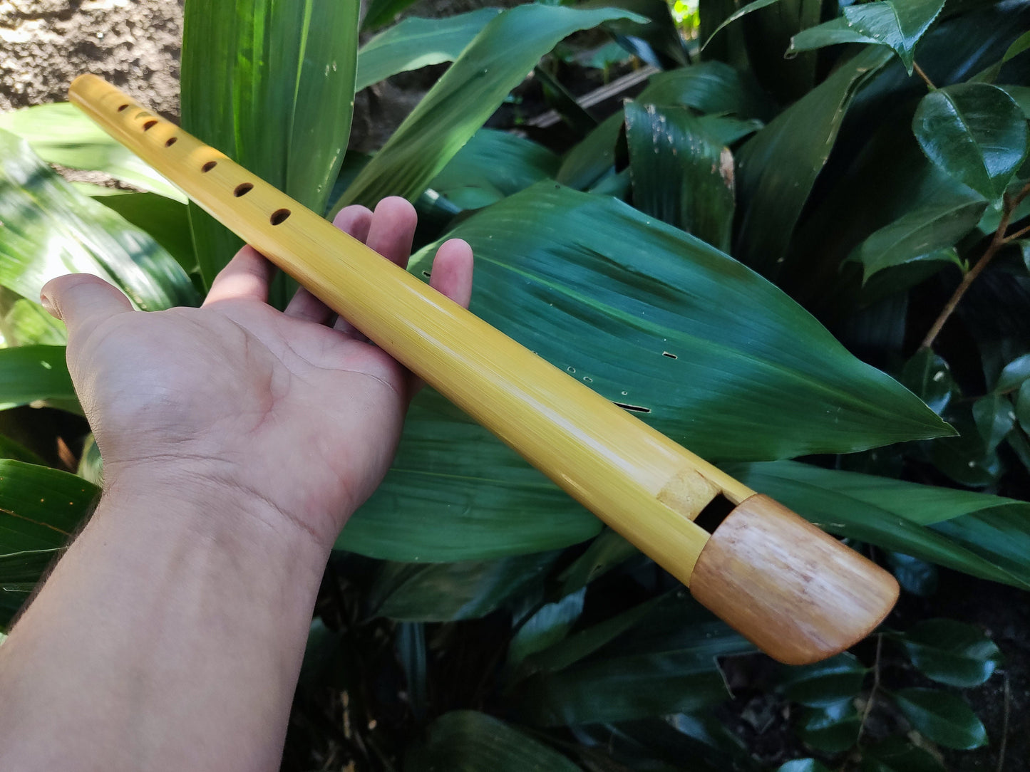 Low E Bamboo Whistle made in the Irish Style | Handmade Bamboo Flute for Folk and World Music | Celtic and Traditional Music | Rui Gomes