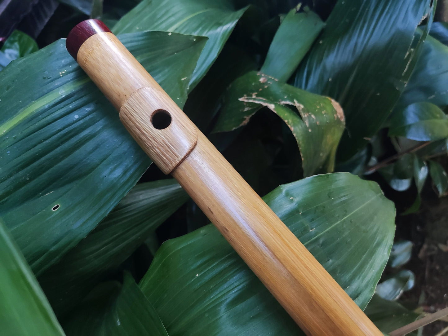 Low D Major Pentatonic Flute with Lip Plate. High Quality bamboo Flute with an Intuitive Scale for Meditation and Improvisation | Rui Gomes