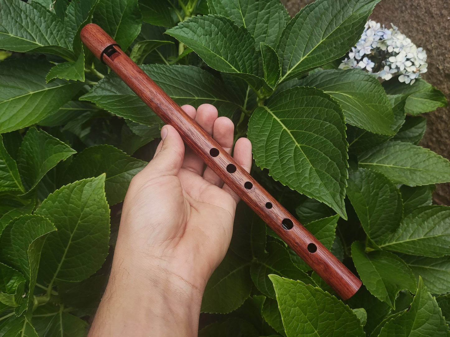 Wooden Tin Whistle in High D handmade out of Bubinga | African Rosewood Wooden Recorder | Small flute for Folk and World Music | Rui Gomes