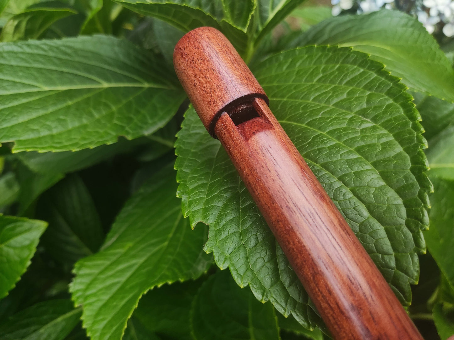 Wooden Tin Whistle in High D handmade out of Bubinga | African Rosewood Wooden Recorder | Small flute for Folk and World Music | Rui Gomes
