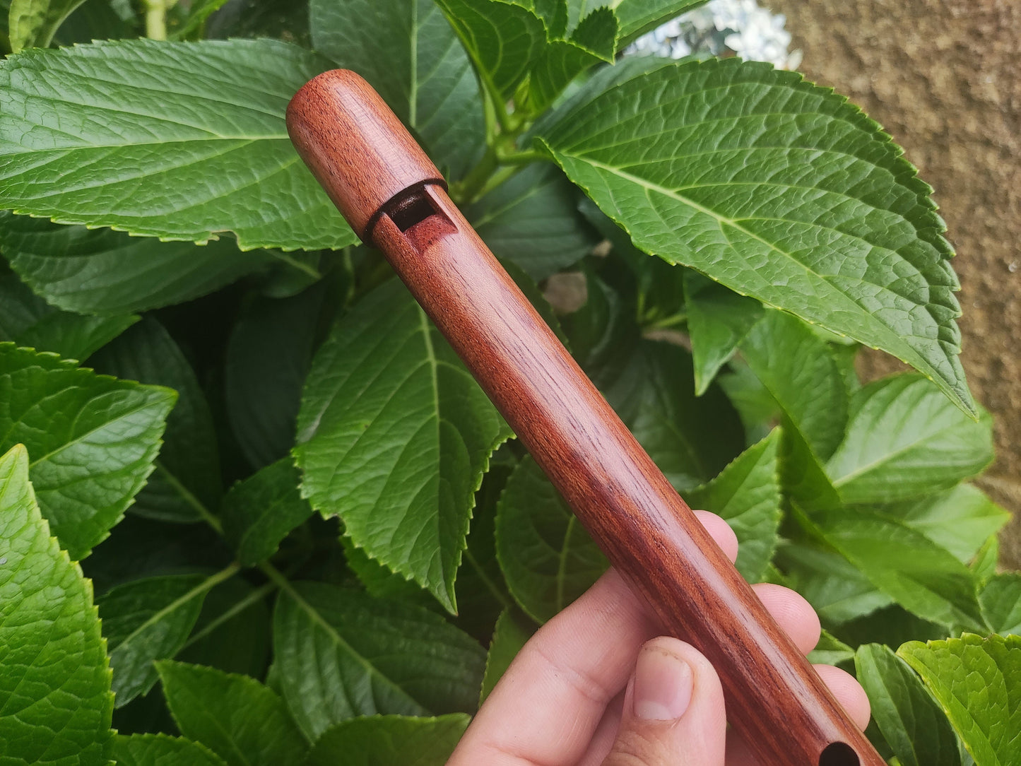 Wooden Tin Whistle in High D handmade out of Bubinga | African Rosewood Wooden Recorder | Small flute for Folk and World Music | Rui Gomes