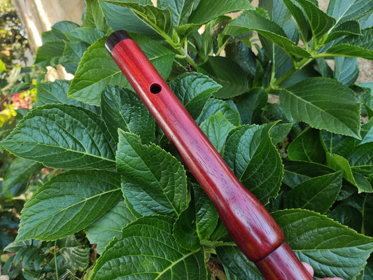 Low D Wooden Flute handmade with Exotic Hardwoods for Irish and Folk Music | Concert tuned Transverse flute in Padauk and Rosewood | Gomes