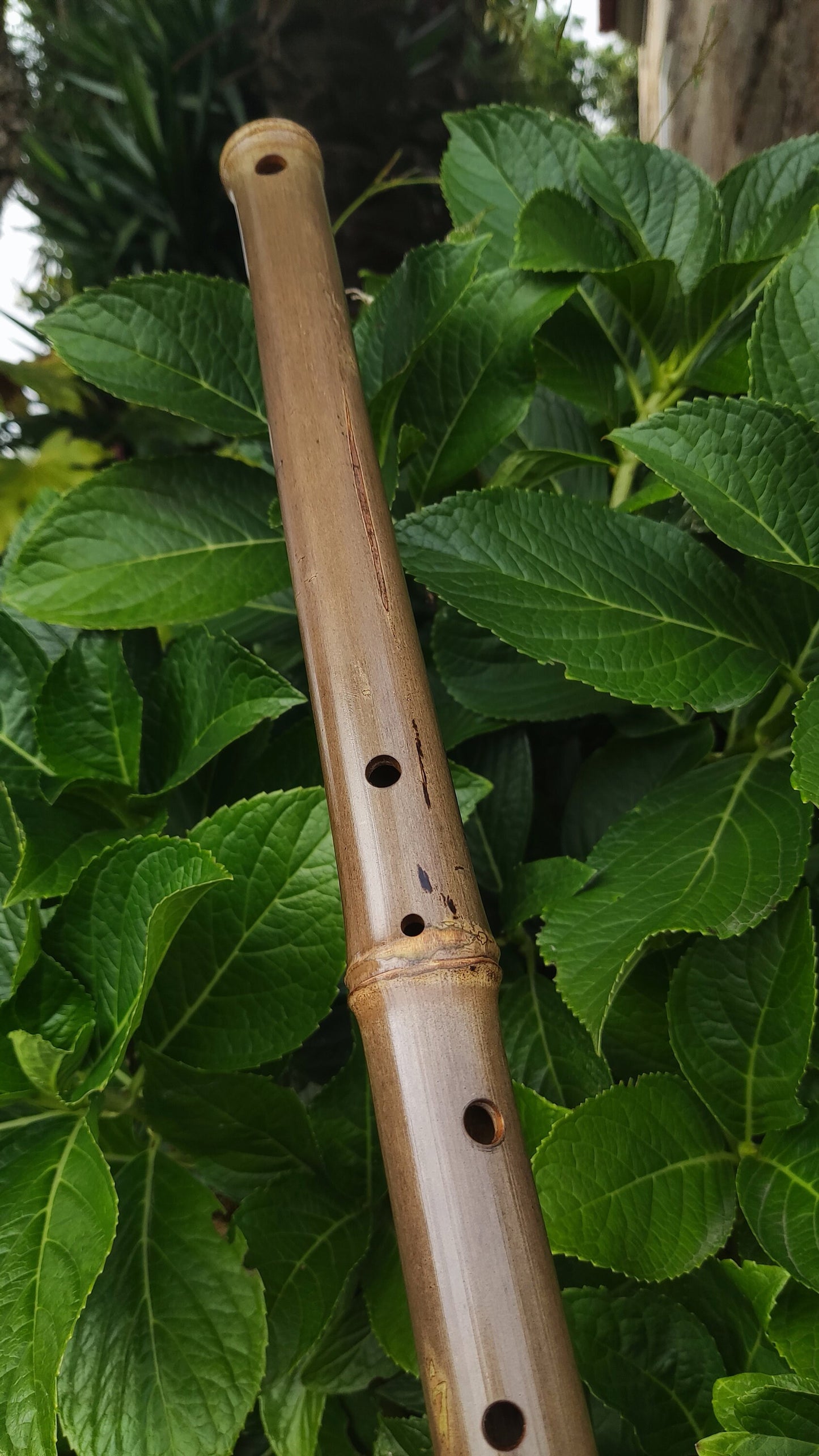 Low D Arabian style Bamboo Flute with a Rustic look and Eastern scale, Deep meditation with an  Ethnic middle eastern feel in Hijaz kar