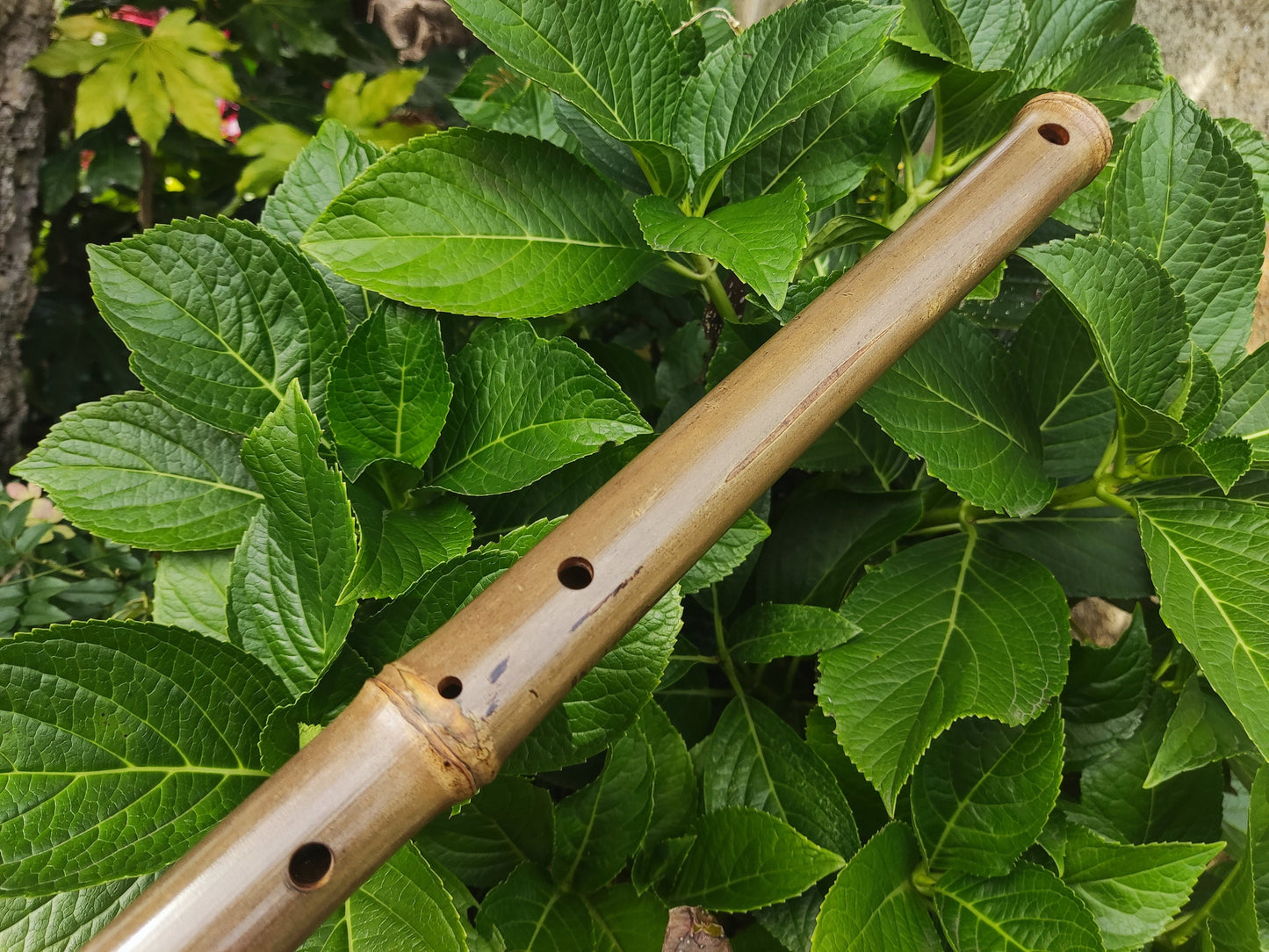 Low D Arabian style Bamboo Flute with a Rustic look and Eastern scale, Deep meditation with an  Ethnic middle eastern feel in Hijaz kar