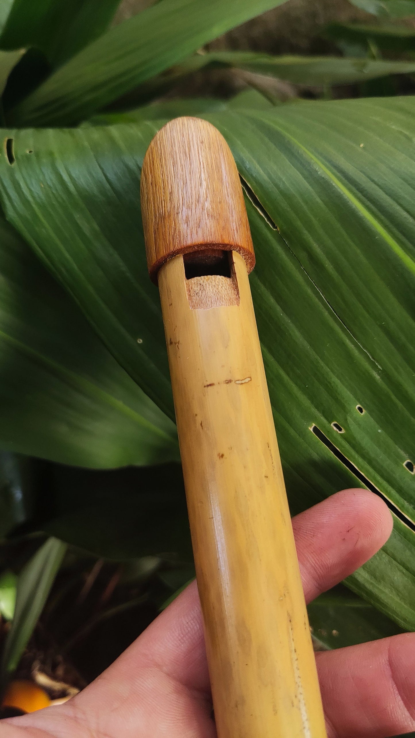 Tin Whistle in High C handmade out of Bamboo | Simple Wooden Recorder or Penny Whistle for World Music | Gift for musician | Rui Gomes