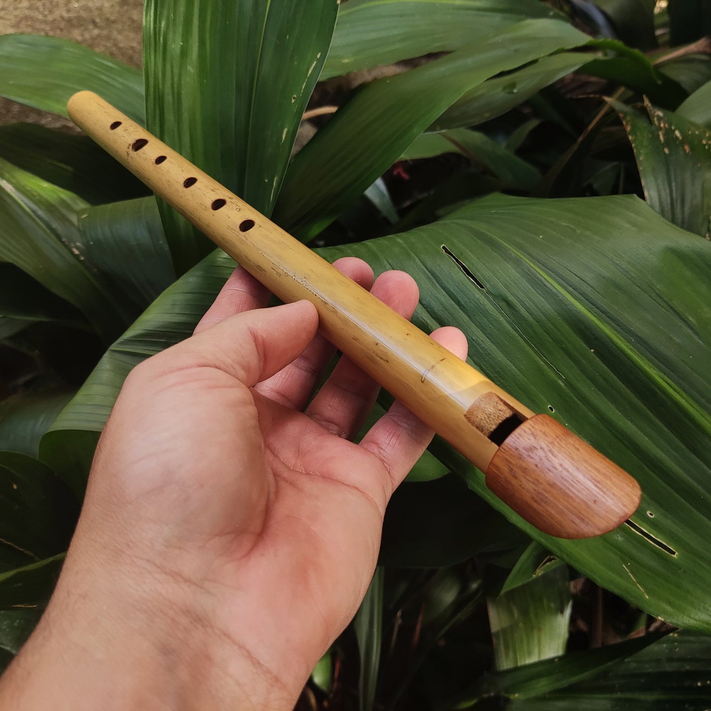 Tin Whistle in High C handmade out of Bamboo | Simple Wooden Recorder or Penny Whistle for World Music | Gift for musician | Rui Gomes