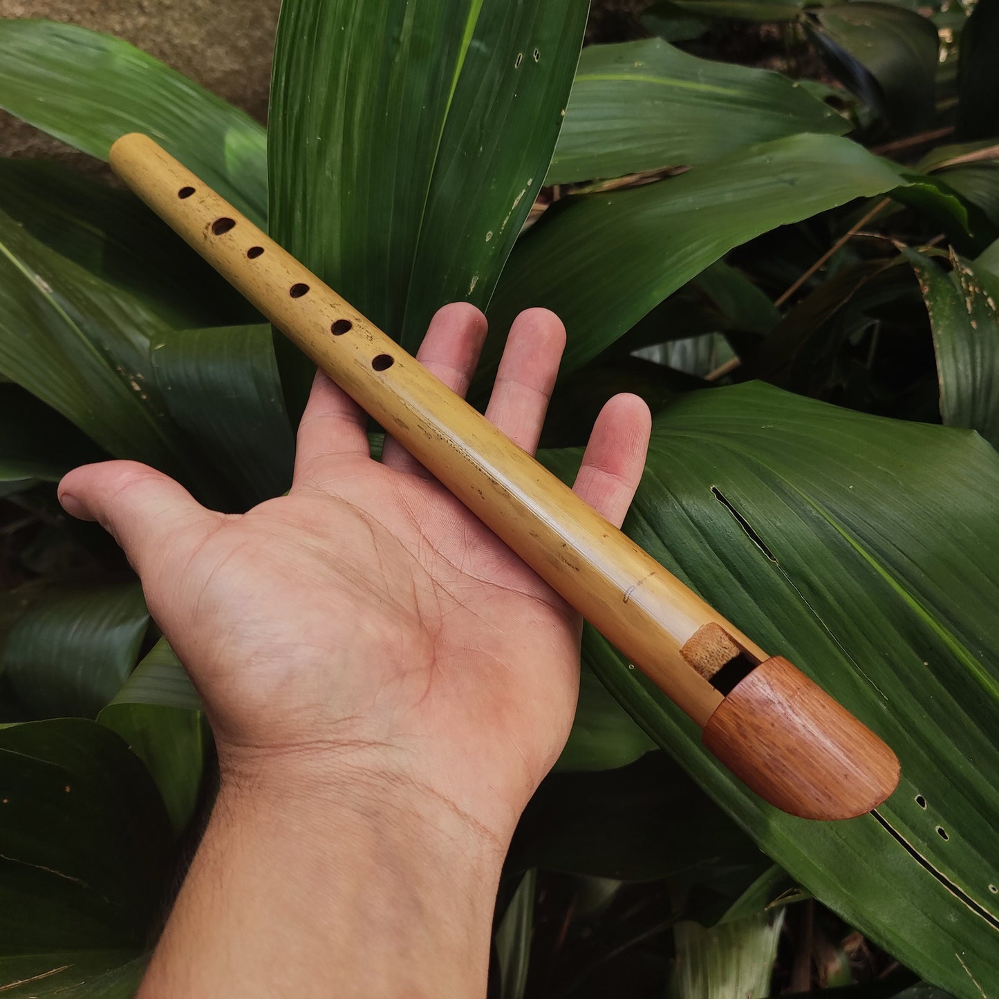 Tin Whistle in High C handmade out of Bamboo | Simple Wooden Recorder or Penny Whistle for World Music | Gift for musician | Rui Gomes