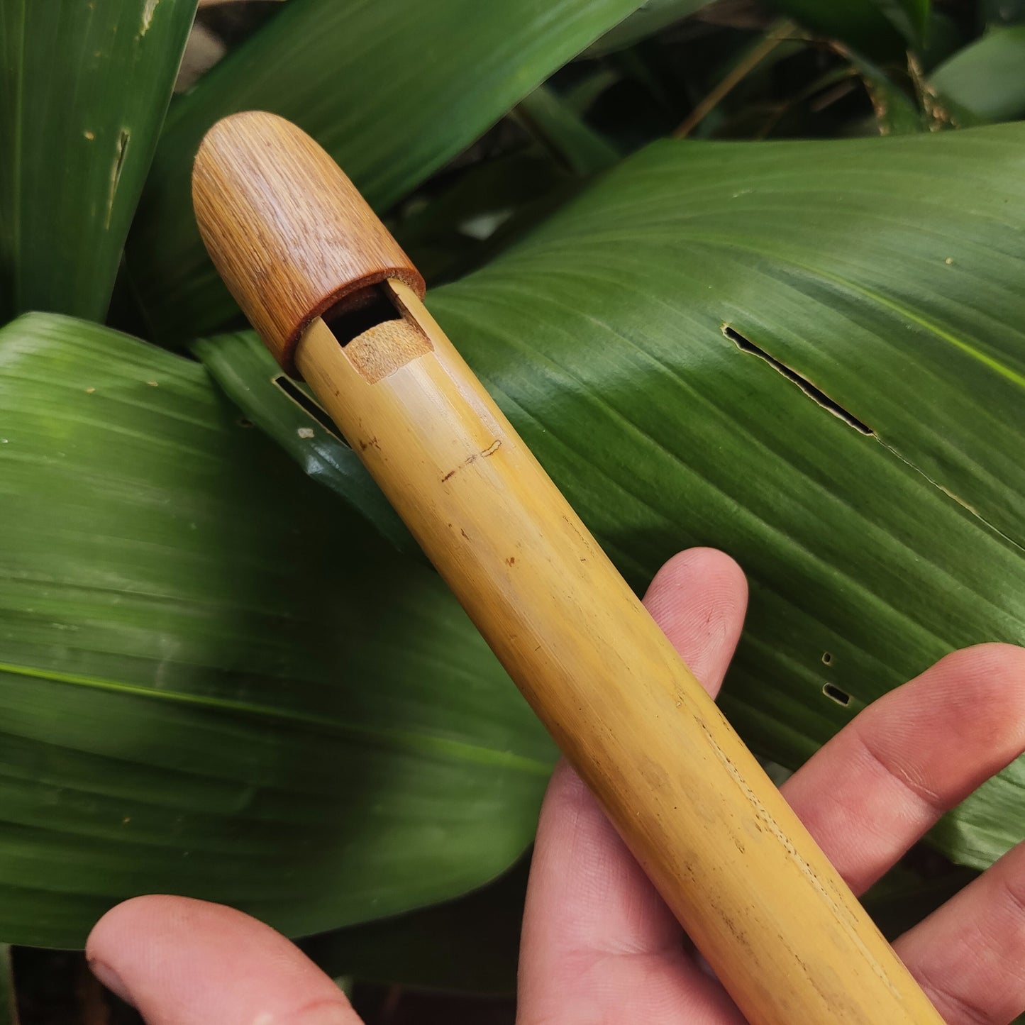 Tin Whistle in High C handmade out of Bamboo | Simple Wooden Recorder or Penny Whistle for World Music | Gift for musician | Rui Gomes
