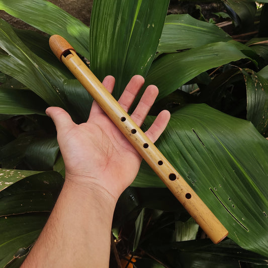 Tin Whistle in High C handmade out of Bamboo | Simple Wooden Recorder or Penny Whistle for World Music | Gift for musician | Rui Gomes
