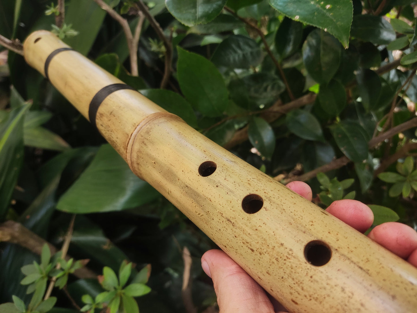 Kokin-Akebono Bamboo Flute in the key of low F#3 | Exotic looking and Meditative flute with Oriental design | For Deep meditation