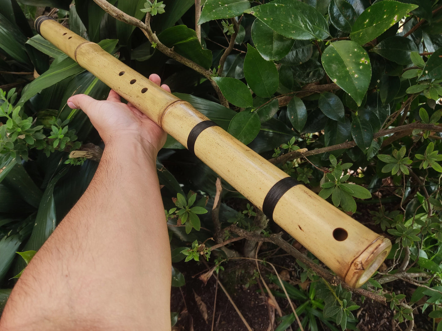 Kokin-Akebono Bamboo Flute in the key of low F#3 | Exotic looking and Meditative flute with Oriental design | For Deep meditation