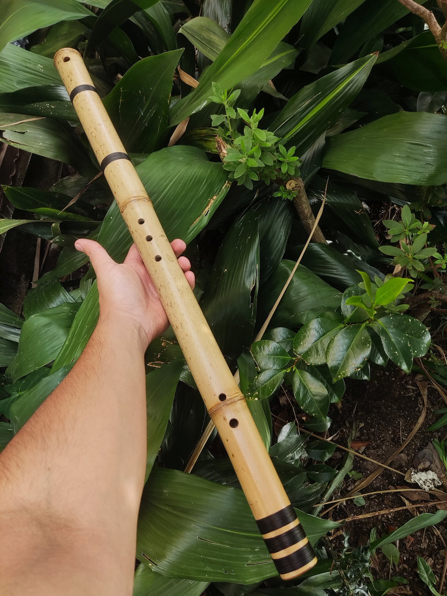 Exotic Meditative Bamboo Flute in the key of Low G#, for an Oriental transporting experience, Kokin Akebono hybrid & Transporting voice.