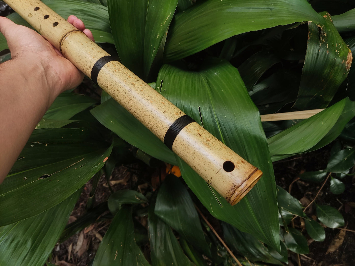 Exotic Meditative Bamboo Flute in the key of Low G#, for an Oriental transporting experience, Kokin Akebono hybrid & Transporting voice.