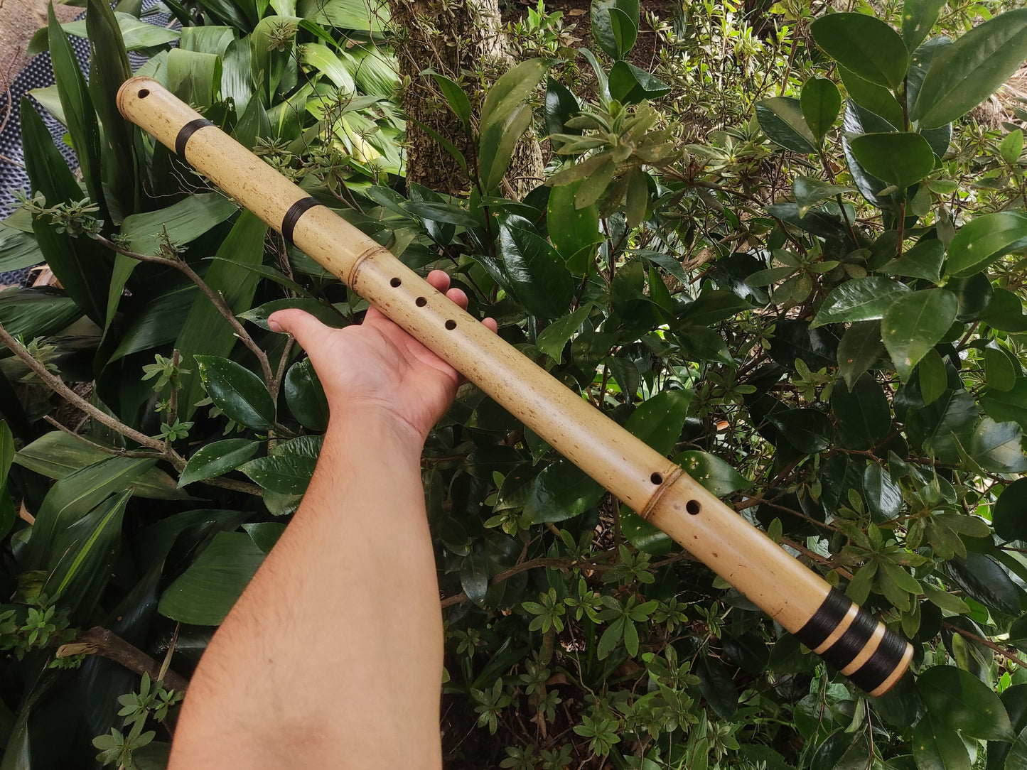 Exotic Meditative Bamboo Flute in the key of Low G#, for an Oriental transporting experience, Kokin Akebono hybrid & Transporting voice.