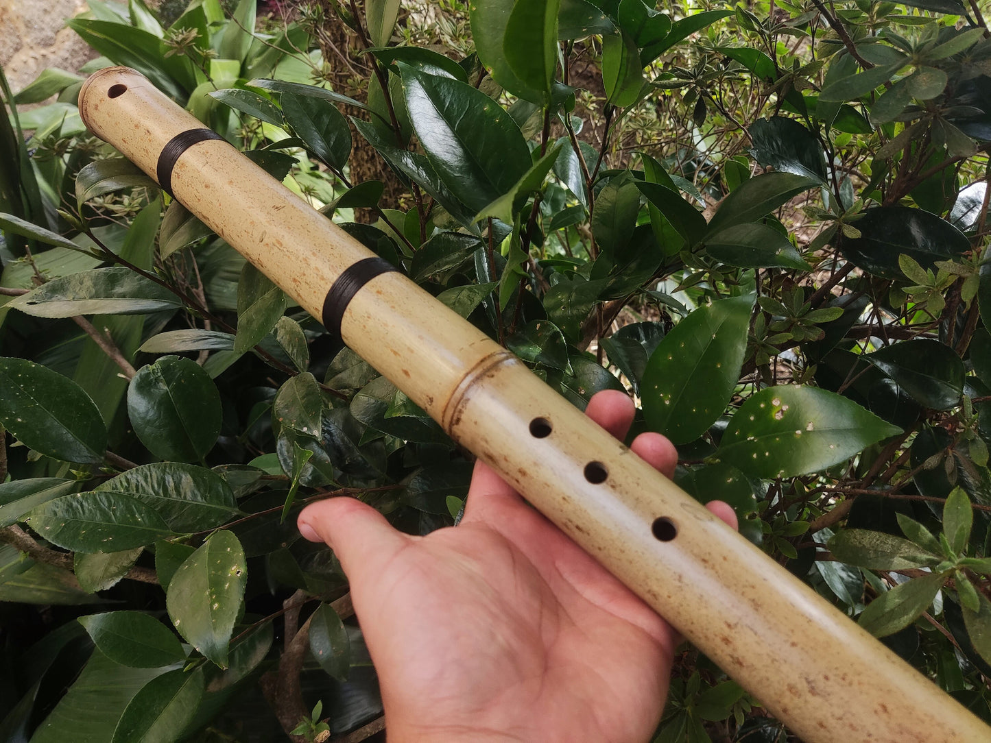 Exotic Meditative Bamboo Flute in the key of Low G#, for an Oriental transporting experience, Kokin Akebono hybrid & Transporting voice.