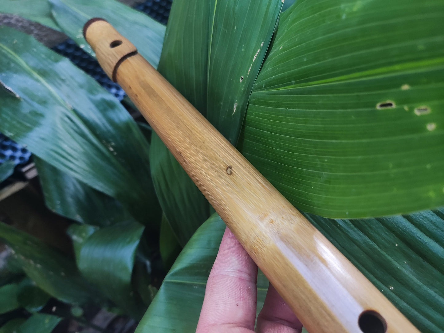 Low D Major Pentatonic Flute with Lip Plate. High Quality bamboo Flute with an Intuitive Scale for Meditation and Improvisation | Rui Gomes