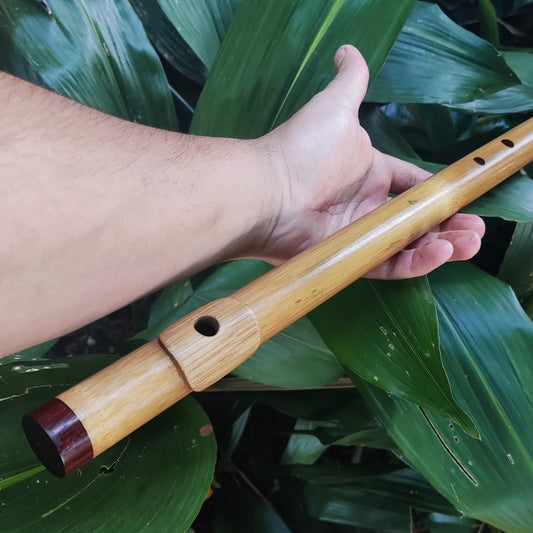Low D Major Pentatonic Flute with Lip Plate. High Quality bamboo Flute with an Intuitive Scale for Meditation and Improvisation | Rui Gomes