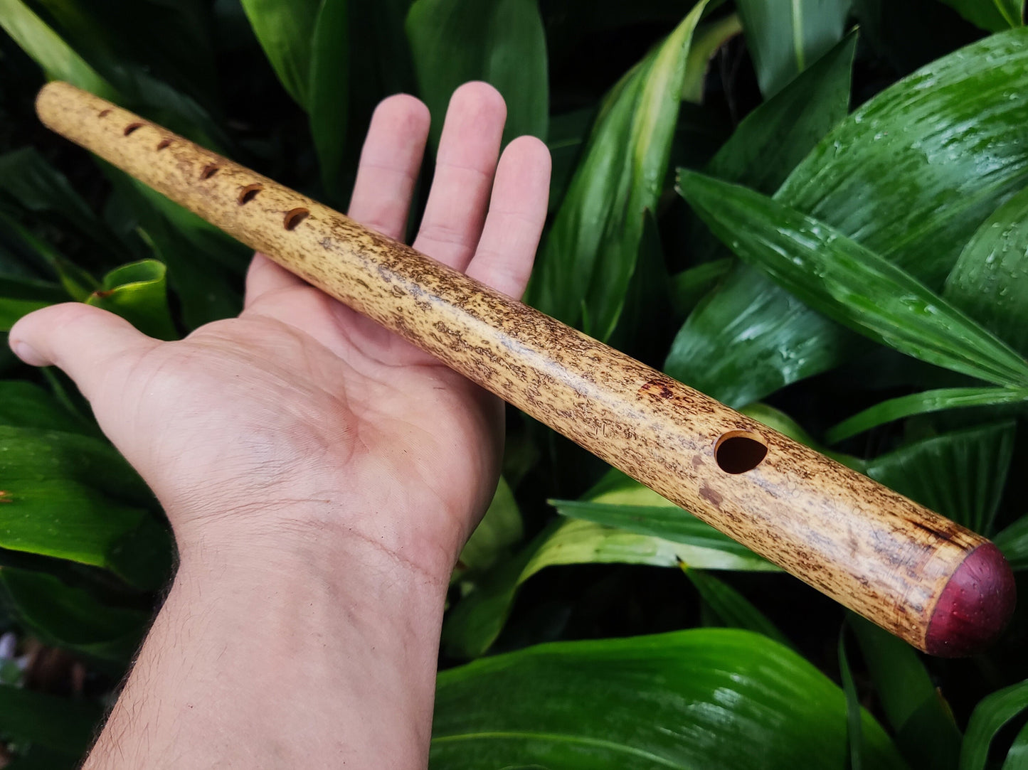 Bamboo Transverse flute in the key of G handmade for Folk and Irish Music | Alternative 6 holes Bansuri | Gift for Musician | Rui Gomes