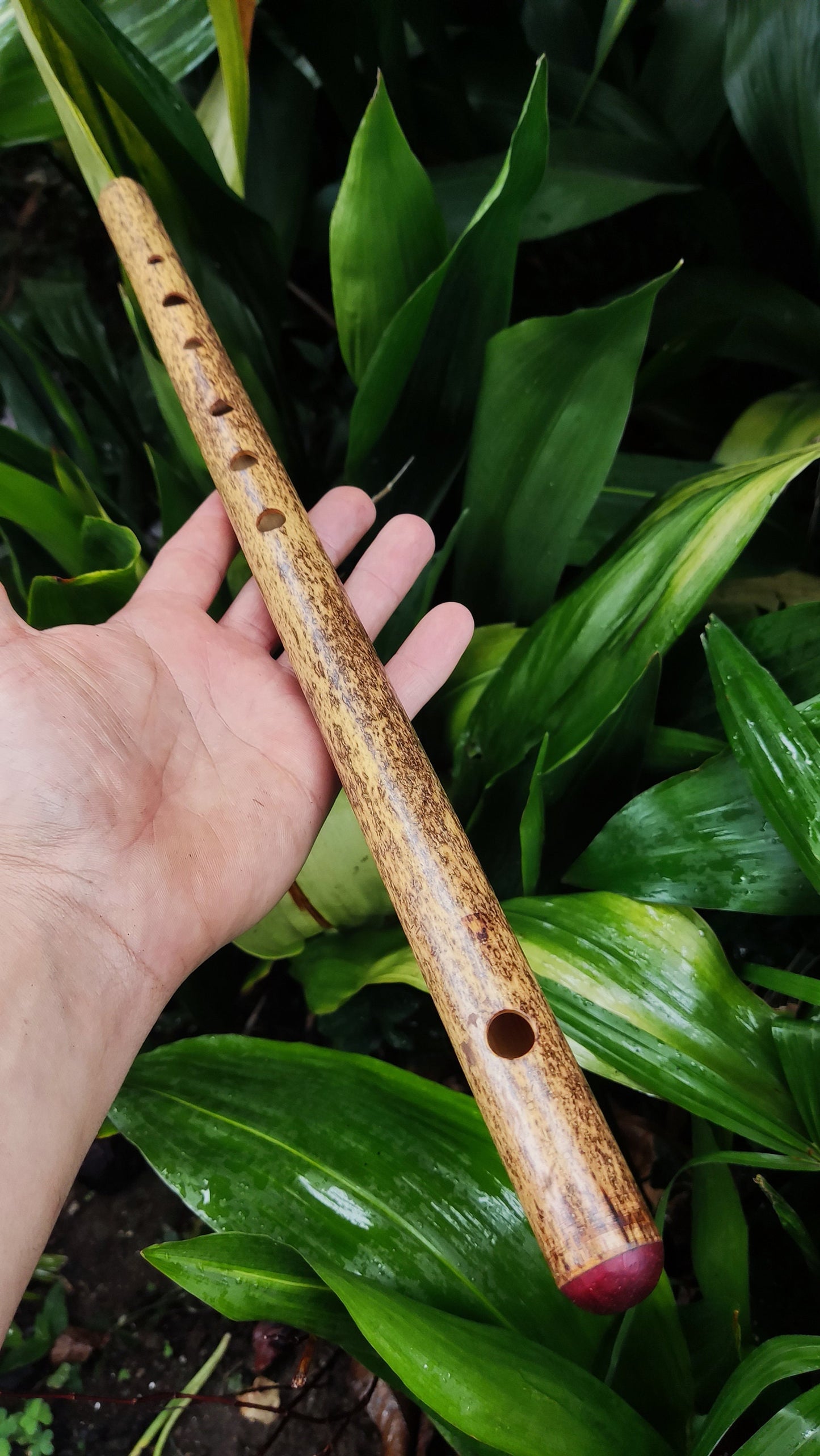 Bamboo Transverse flute in the key of G handmade for Folk and Irish Music | Alternative 6 holes Bansuri | Gift for Musician | Rui Gomes