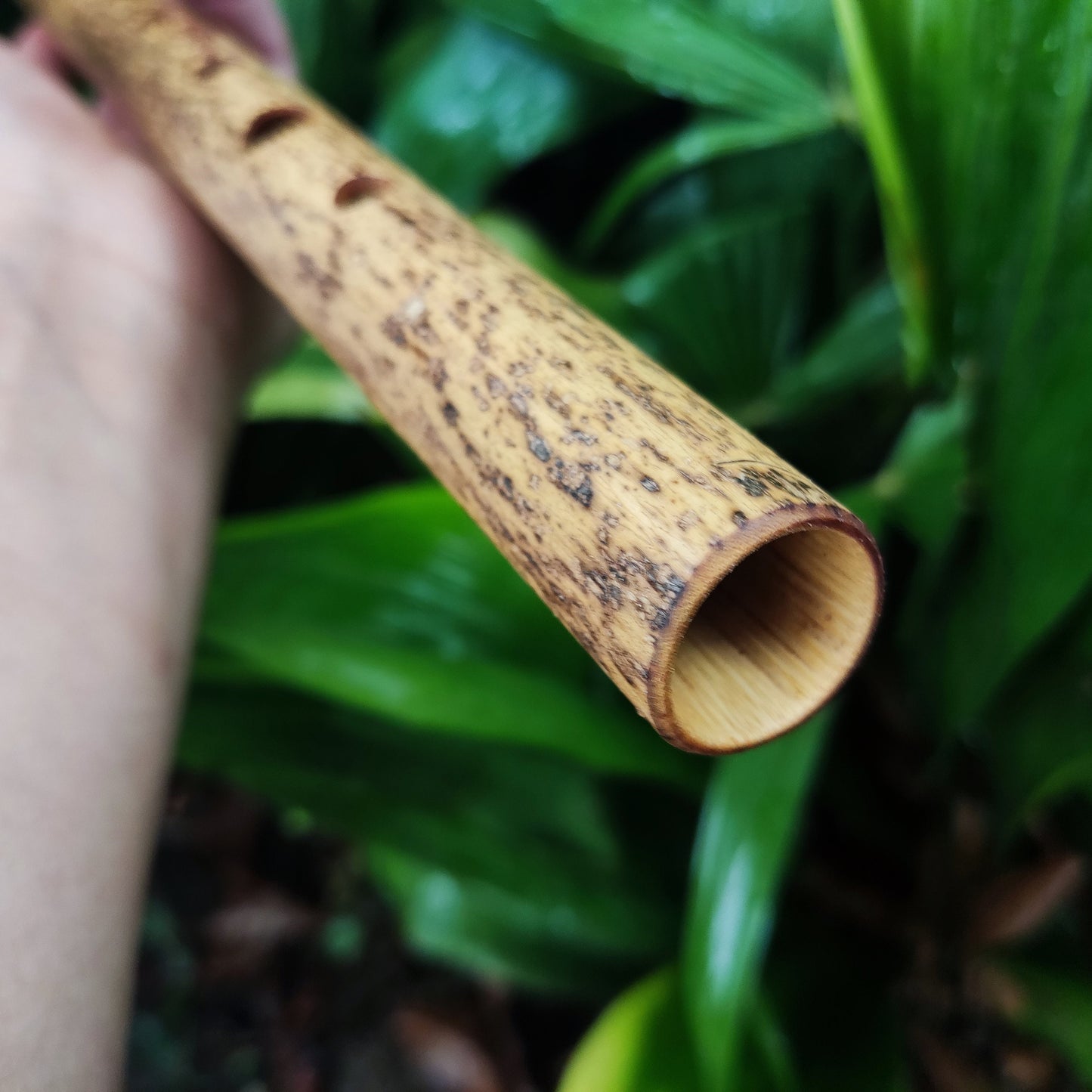 Bamboo Transverse flute in the key of G handmade for Folk and Irish Music | Alternative 6 holes Bansuri | Gift for Musician | Rui Gomes