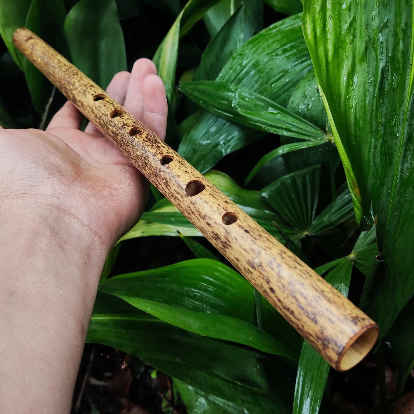 Bamboo Transverse flute in the key of G handmade for Folk and Irish Music | Alternative 6 holes Bansuri | Gift for Musician | Rui Gomes