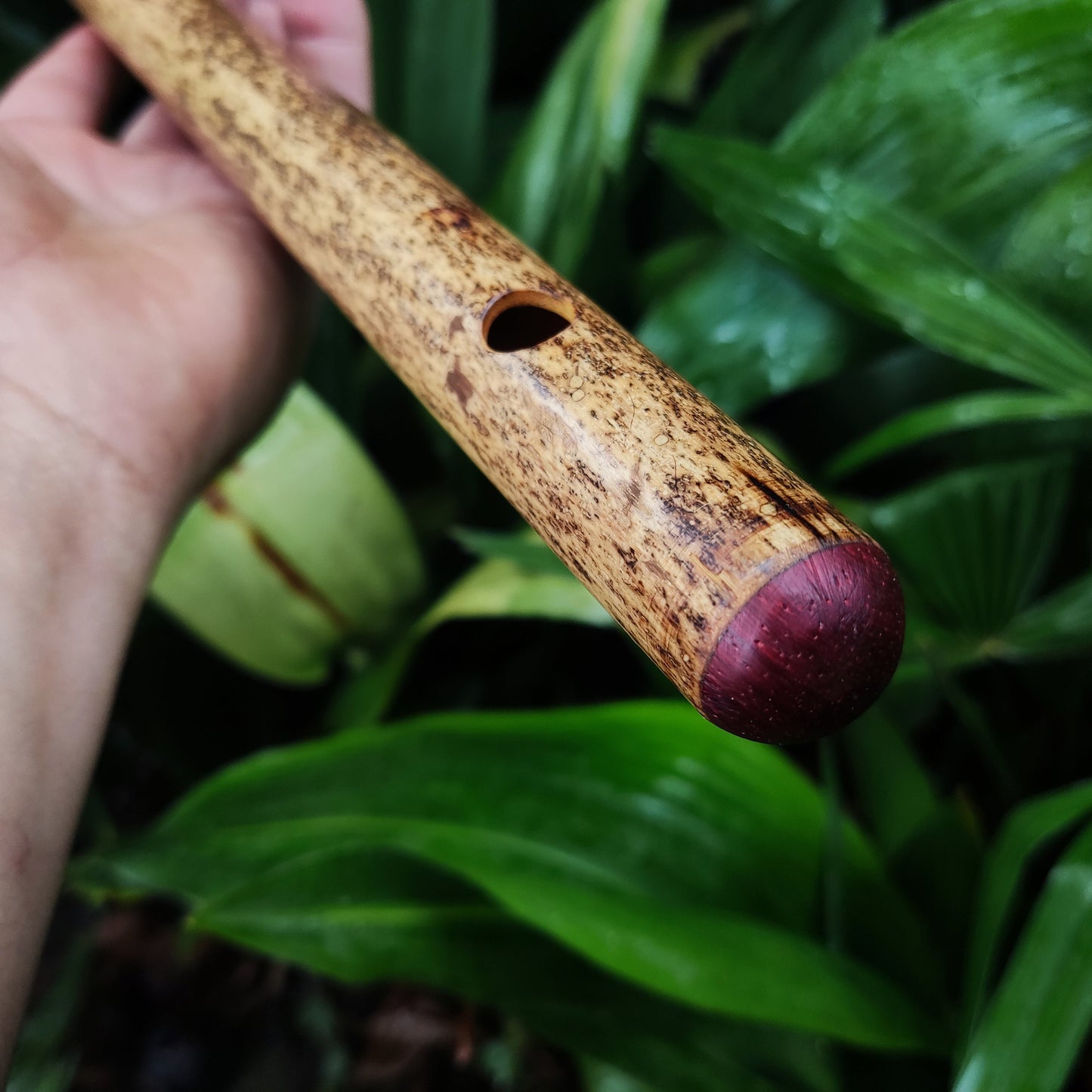 Bamboo Transverse flute in the key of G handmade for Folk and Irish Music | Alternative 6 holes Bansuri | Gift for Musician | Rui Gomes