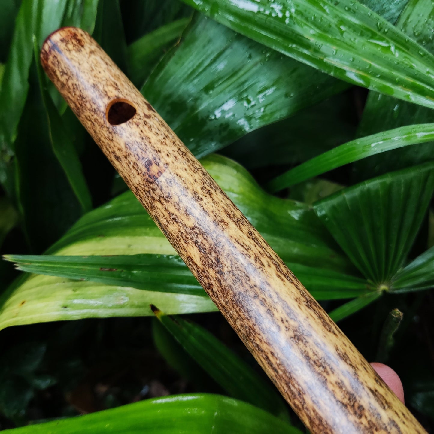Bamboo Transverse flute in the key of G handmade for Folk and Irish Music | Alternative 6 holes Bansuri | Gift for Musician | Rui Gomes