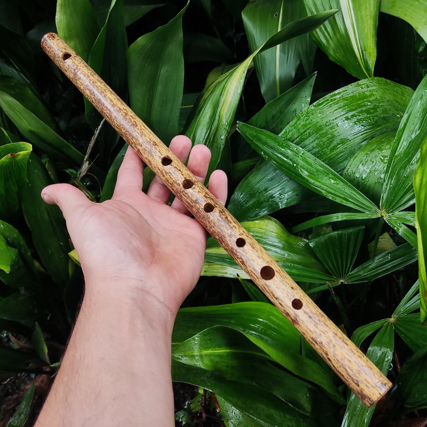Bamboo Transverse flute in the key of G handmade for Folk and Irish Music | Alternative 6 holes Bansuri | Gift for Musician | Rui Gomes