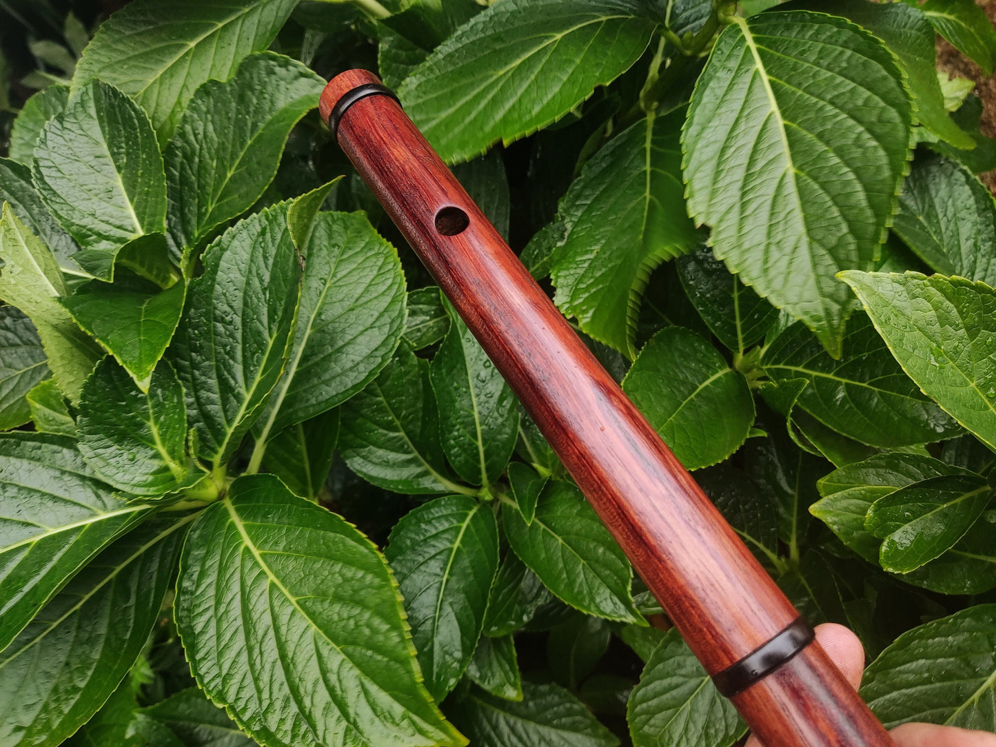 Wooden Flute in the key of F handmade out of Bubinga. Low F Irish style flute  in two pieces, concert tuned Folk and world music | Rui Gomes
