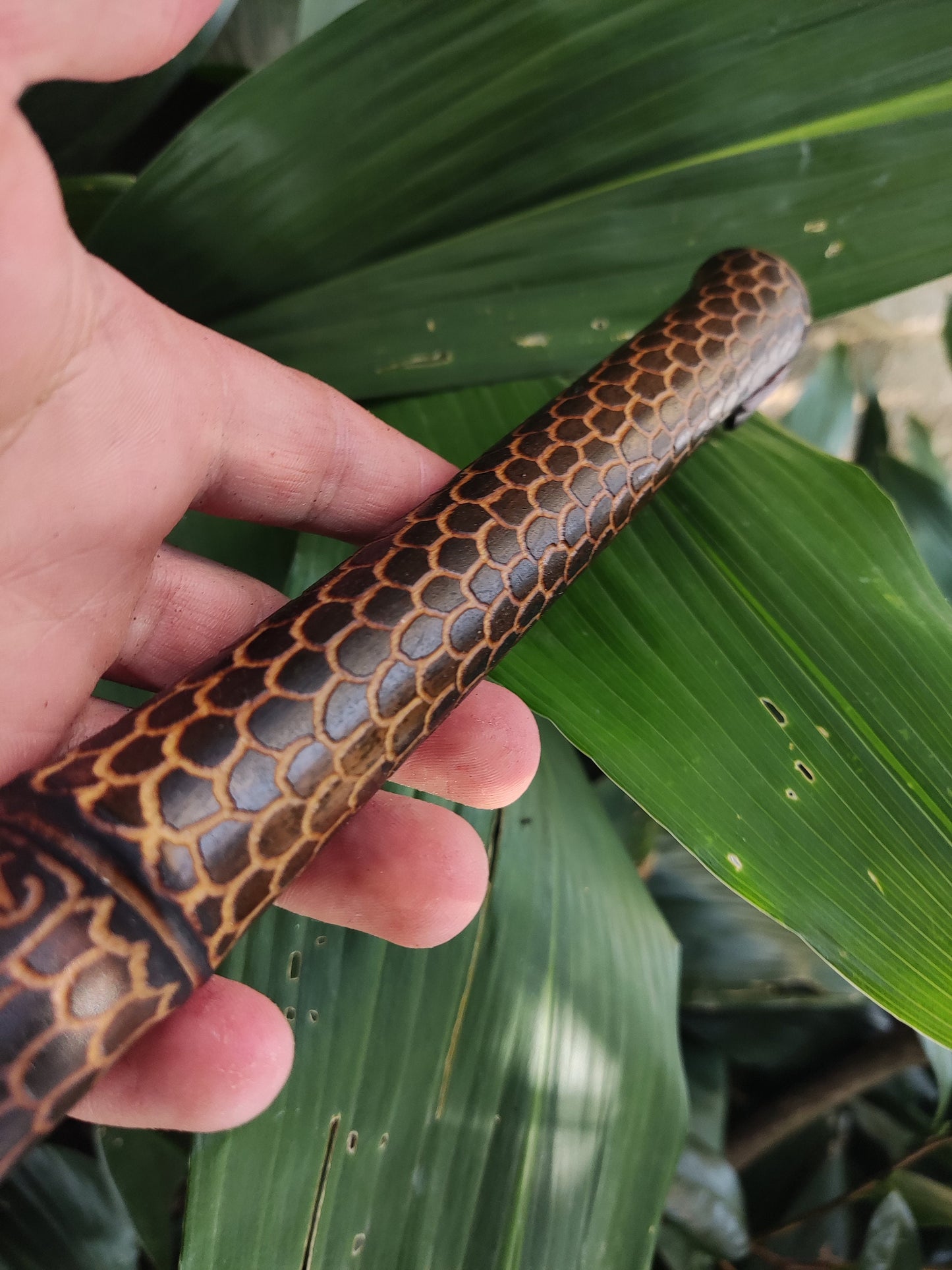 RESERVED FOR RONNIE: High D 432Hz Dragon Skin Fipple Flute in the Native American Style. 5 holes minor pentatonic flute