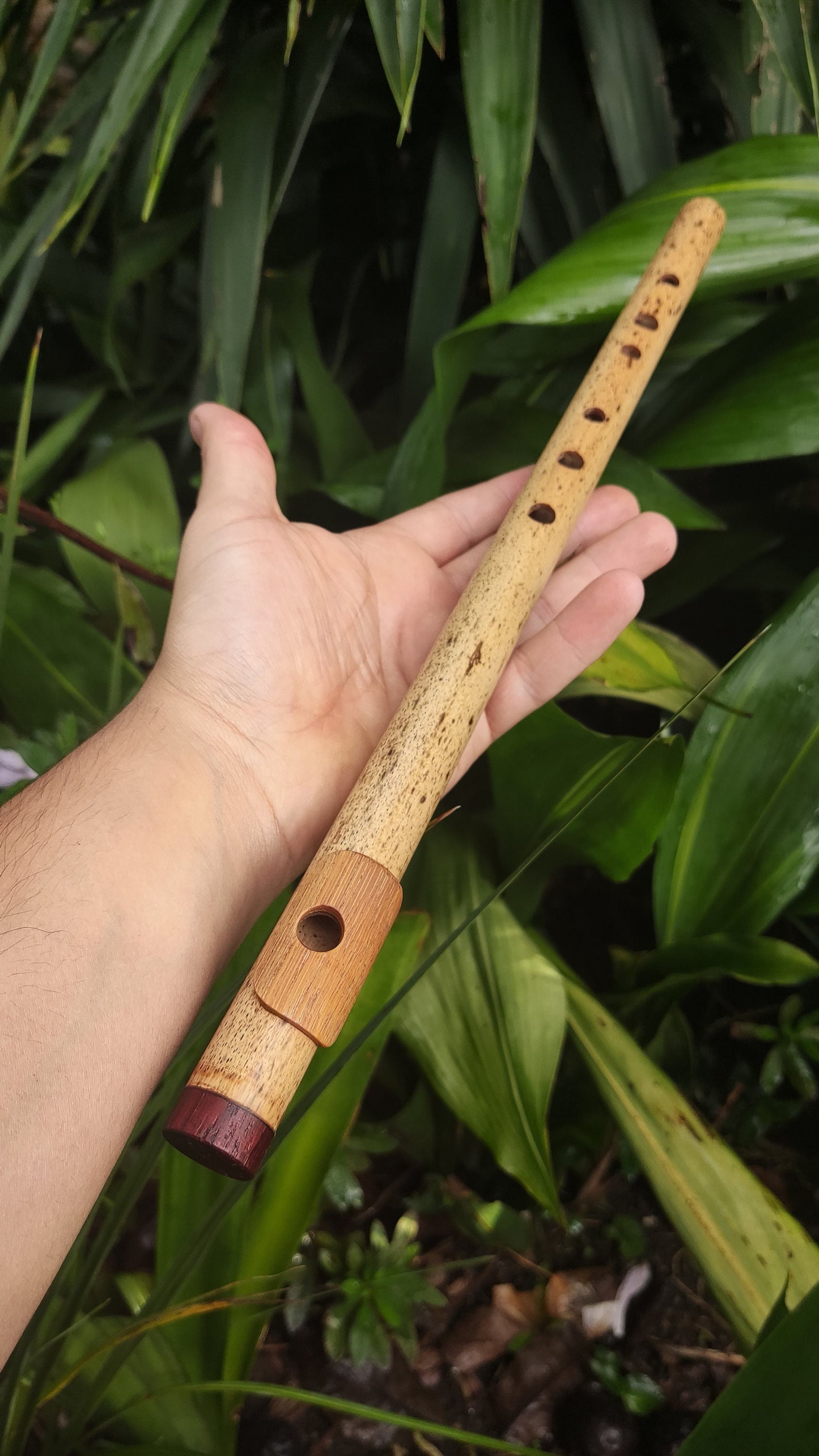 A Major Bamboo Flute with Lip Plate | Concert tuned Transverse flute with a vibrant sound at A440Hz | World Music Gift for musician | Gomes
