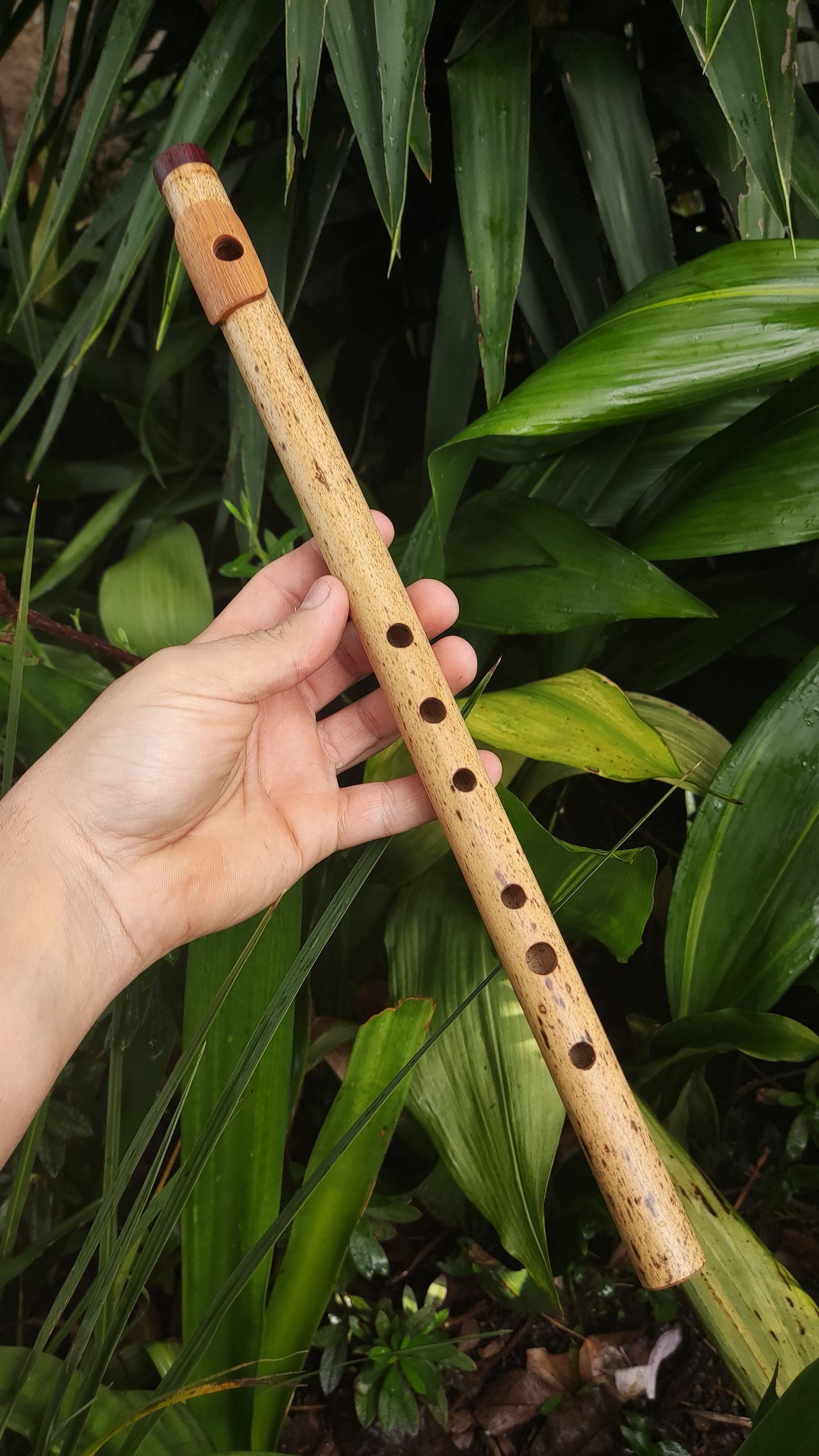 A Major Bamboo Flute with Lip Plate | Concert tuned Transverse flute with a vibrant sound at A440Hz | World Music Gift for musician | Gomes