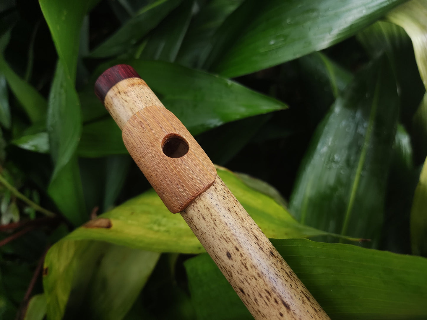 A Major Bamboo Flute with Lip Plate | Concert tuned Transverse flute with a vibrant sound at A440Hz | World Music Gift for musician | Gomes
