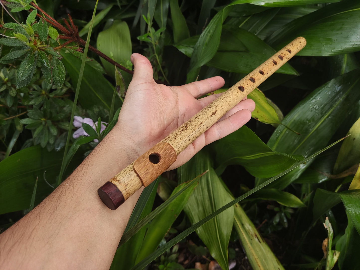 A Major Bamboo Flute with Lip Plate | Concert tuned Transverse flute with a vibrant sound at A440Hz | World Music Gift for musician | Gomes