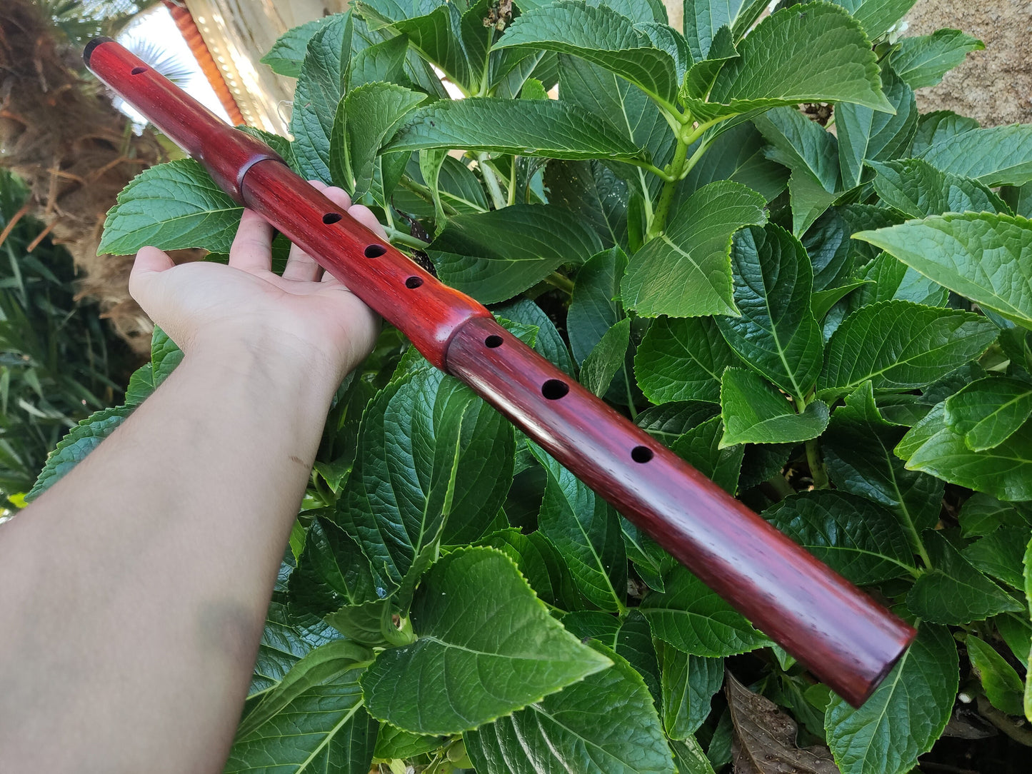 Low D Wooden Flute handmade with Exotic Hardwoods for Irish and Folk Music | Concert tuned Transverse flute in Padauk and Rosewood | Gomes