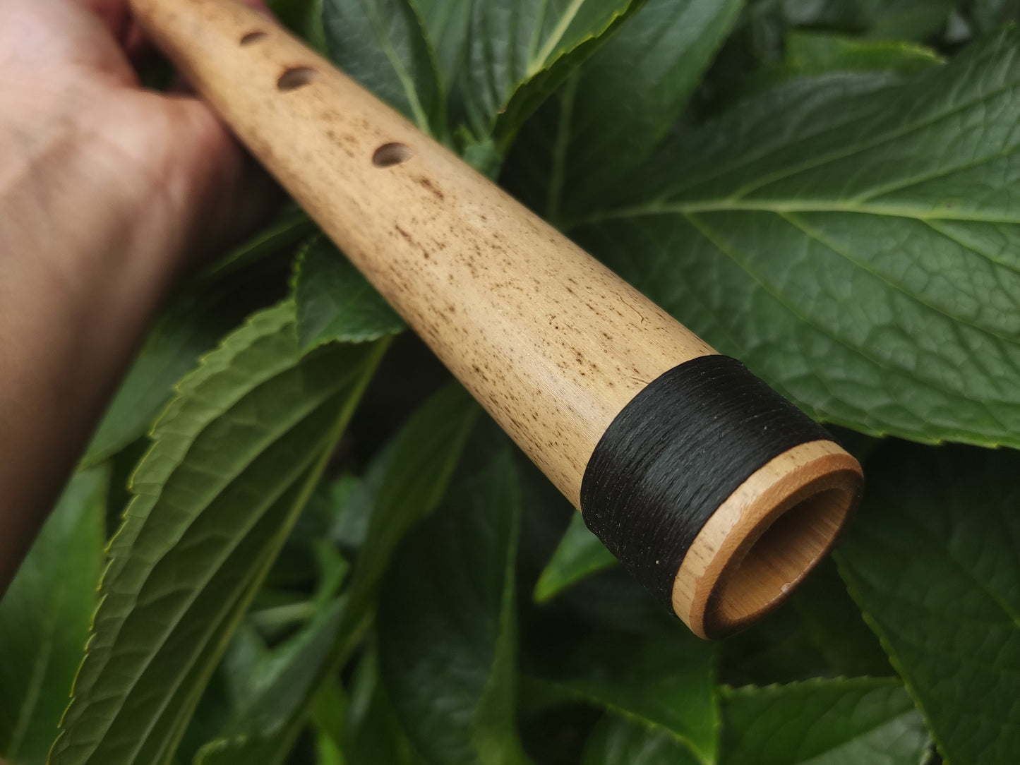 D# / Eb Major Bamboo Flute | Concert tuned Transverse flute in the key of E flat or D sharp for folk or world music | Sound healing | Gomes