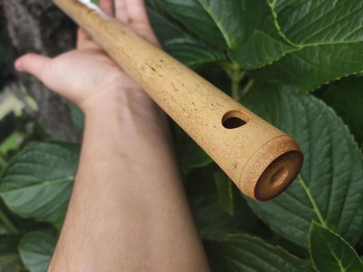 D# / Eb Major Bamboo Flute | Concert tuned Transverse flute in the key of E flat or D sharp for folk or world music | Sound healing | Gomes